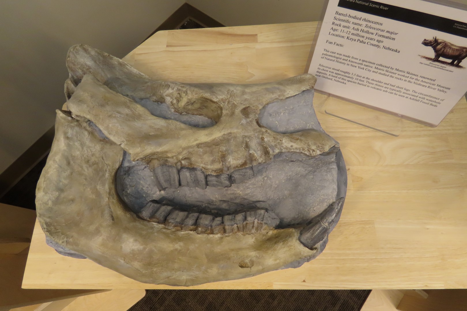 Niobrara River National Recreation Area - Valentine Nebraska  6 of 16 (#6509)