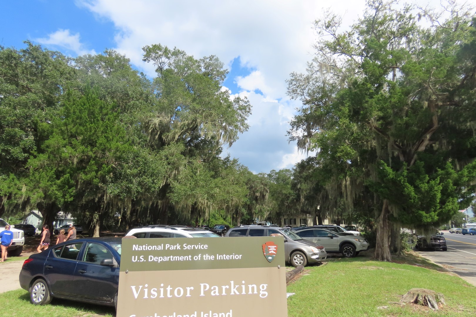 Cumberland Island National Seashore  4 of 12 (#6623)