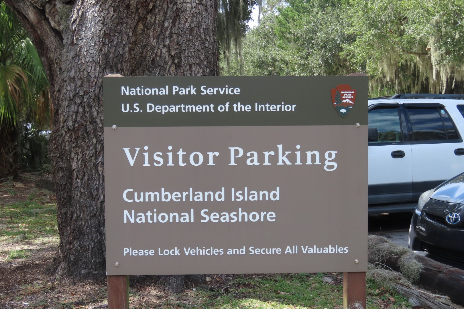 Cumberland Island National Seashore  5 of 12 (#6628)