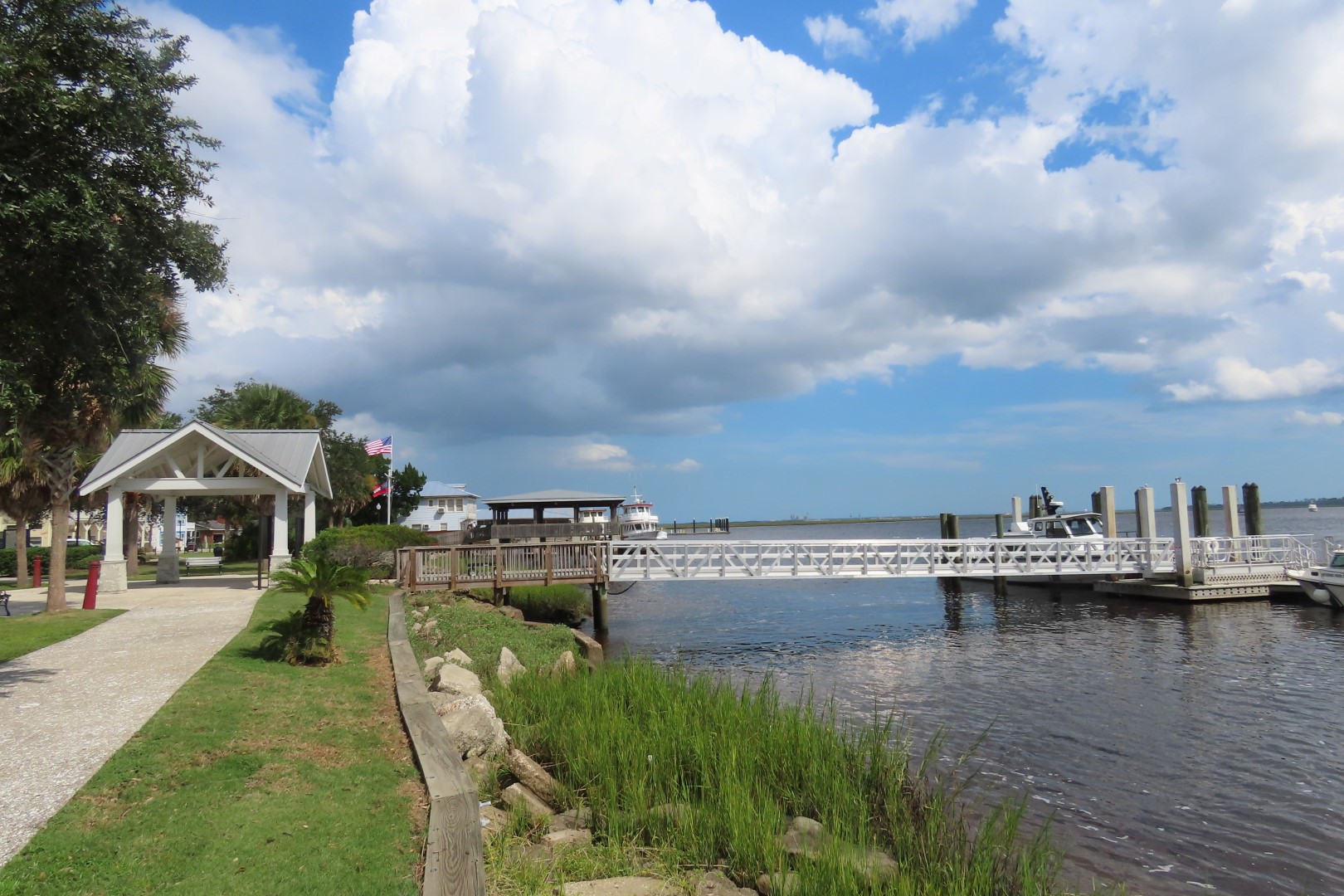 Cumberland Island National Seashore 11 of 12 (#6637)