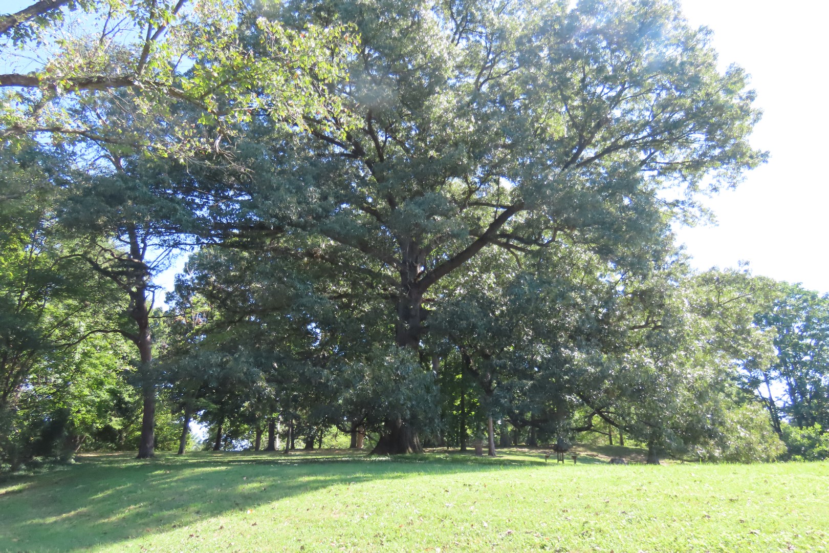 Rock Creek Park  3 of  3 (#6678)