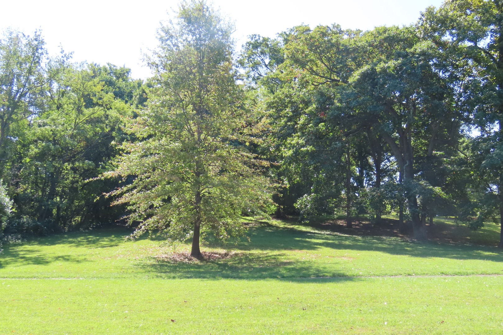 Fort Bayard  4 of  8 (#6682)