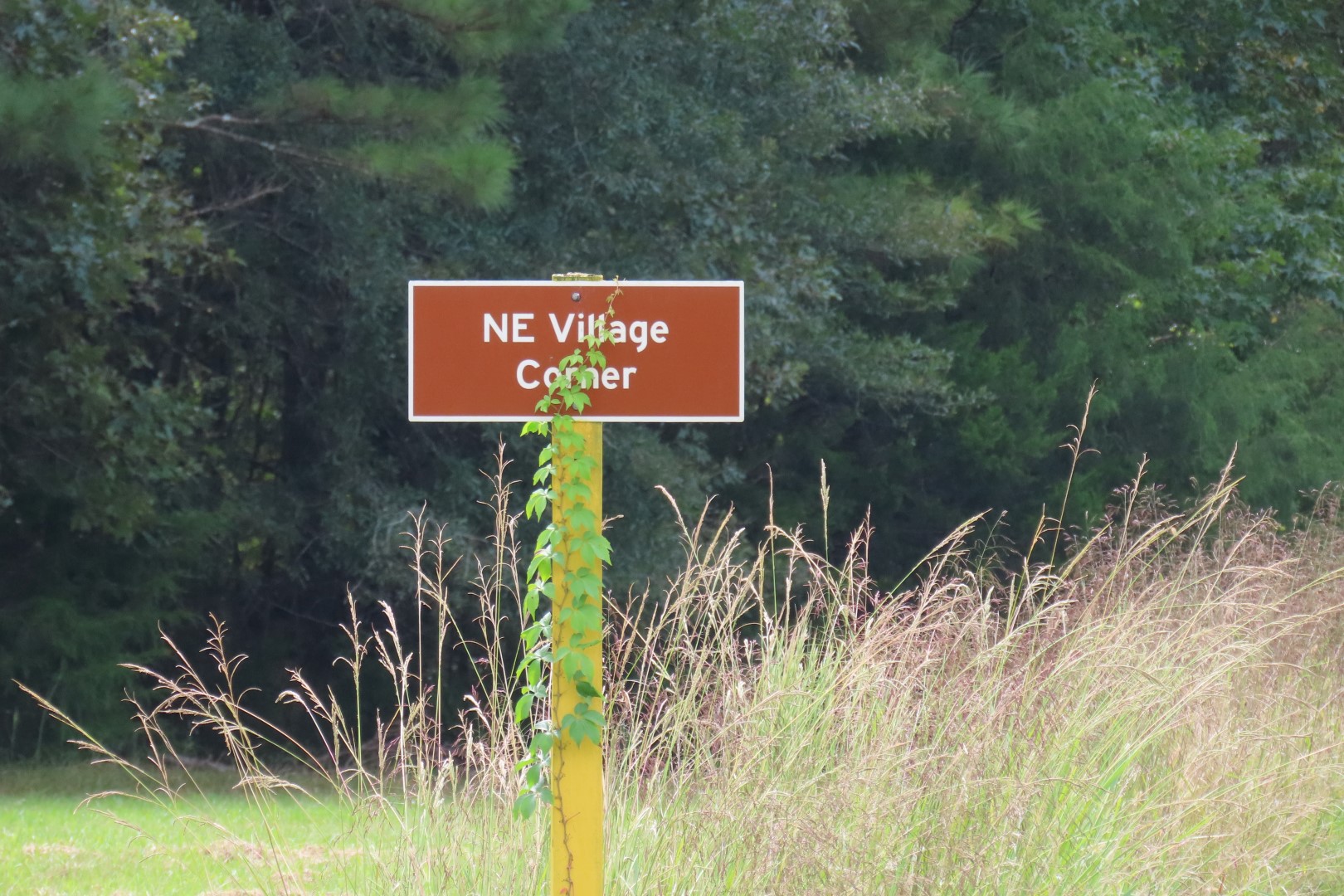 Ninety Six National Historic Site 54 of 83 (#6770)