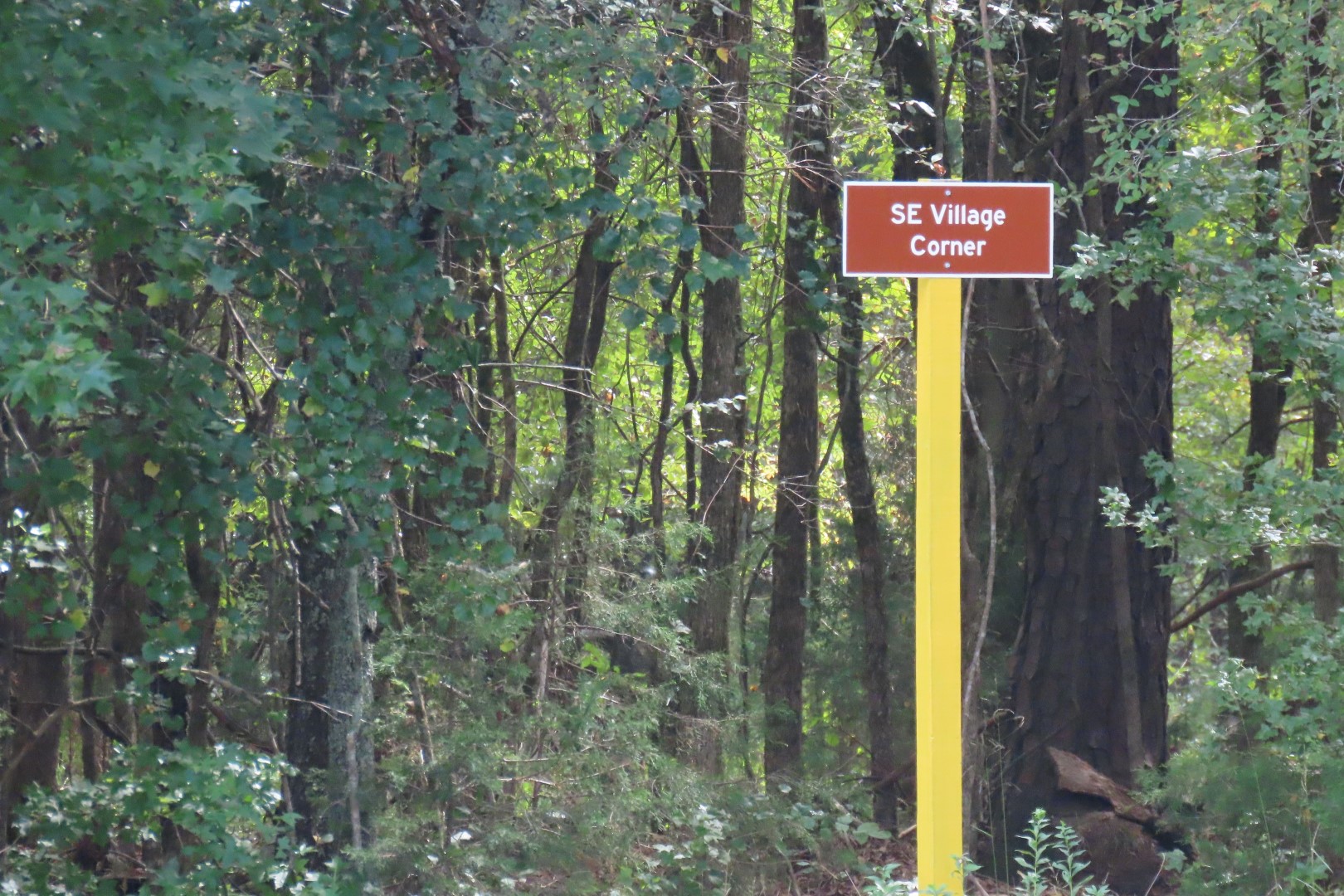 Ninety Six National Historic Site 61 of 83 (#6778)