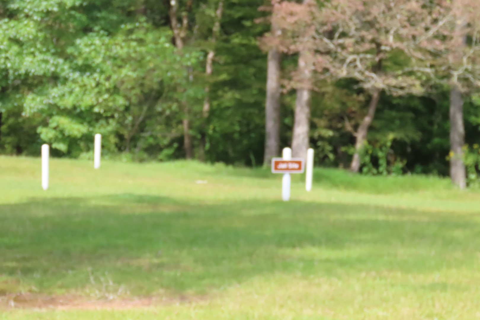 Ninety Six National Historic Site 65 of 83 (#6782)