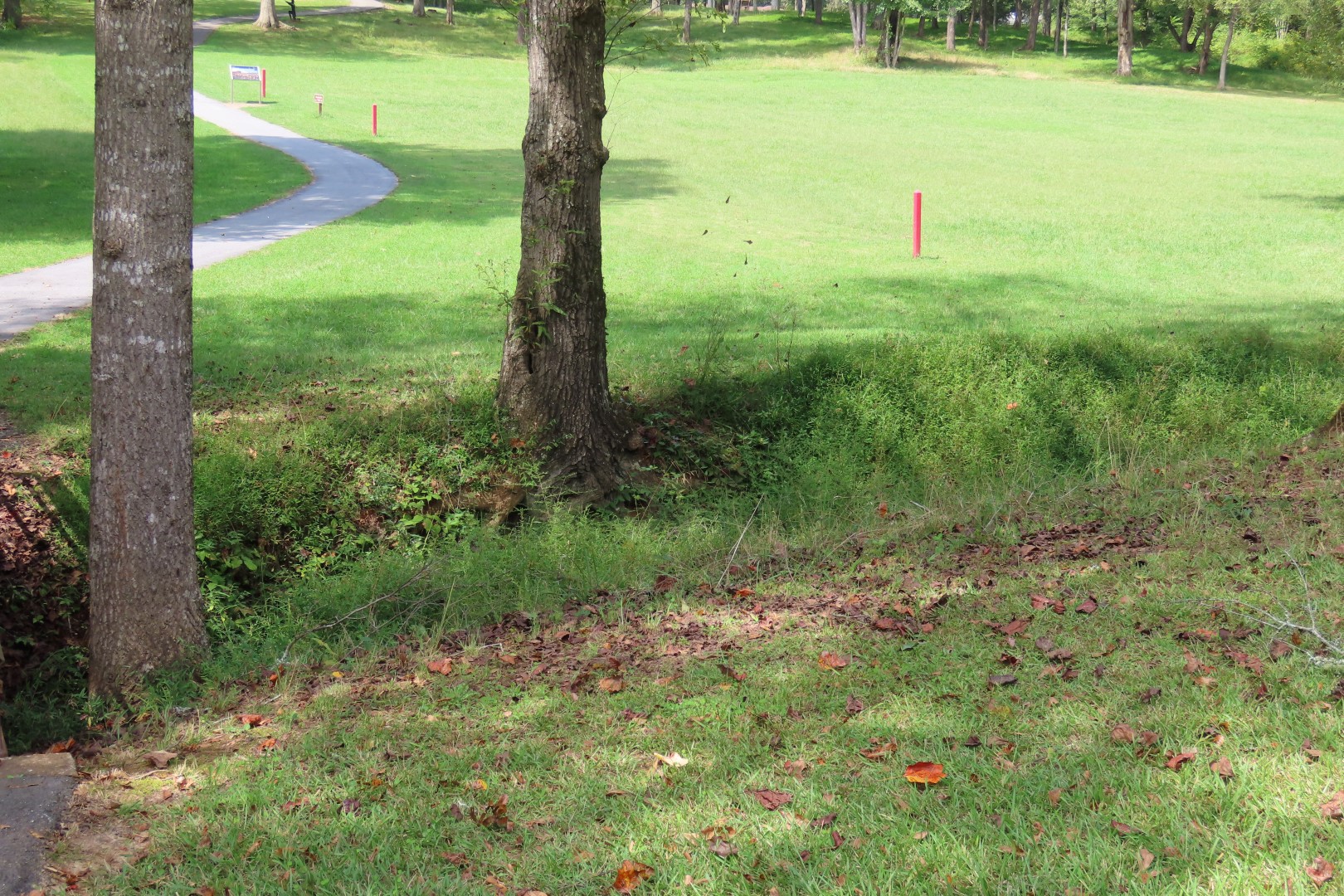 Ninety Six National Historic Site 68 of 83 (#6785)