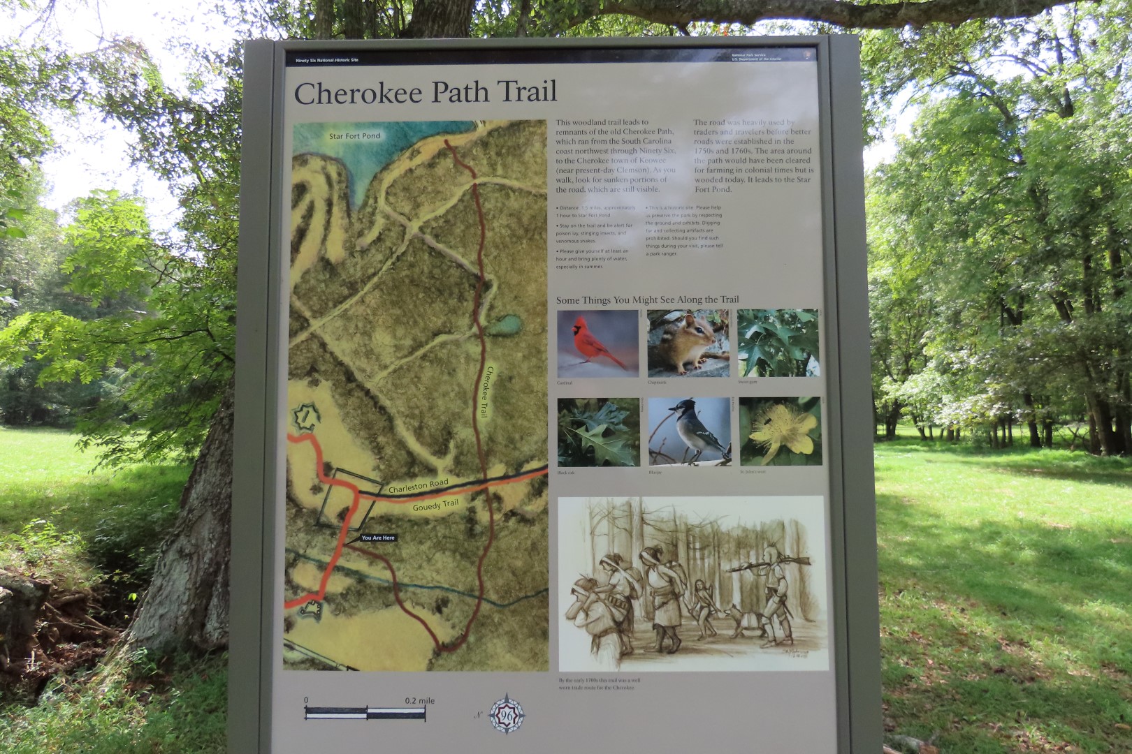 Ninety Six National Historic Site 69 of 83 (#6786)