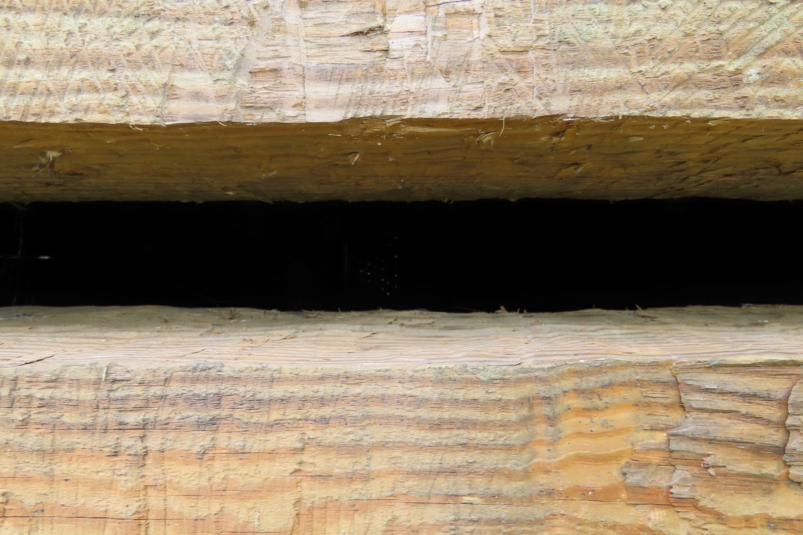 Ninety Six National Historic Site 75 of 83 (#6792)