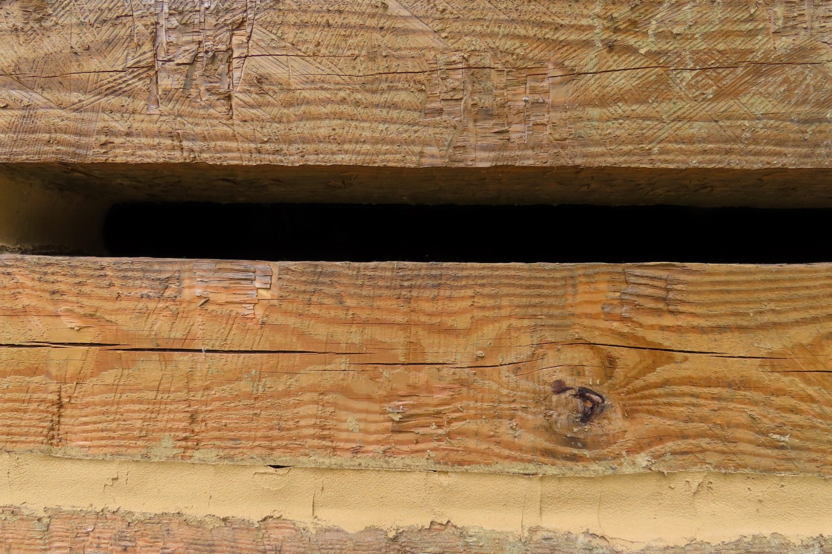 Ninety Six National Historic Site 76 of 83 (#6793)