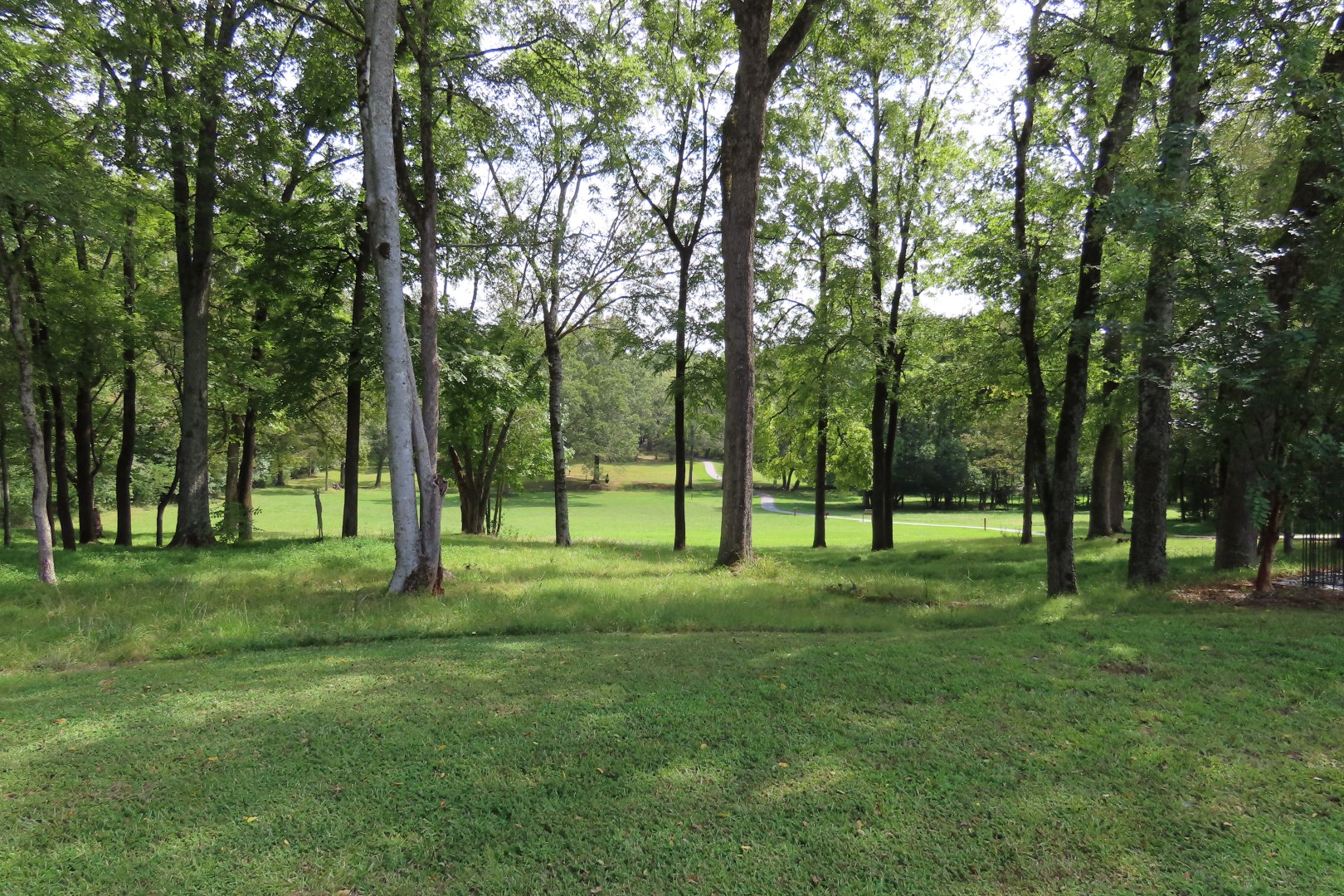 Ninety Six National Historic Site 80 of 83 (#6797)