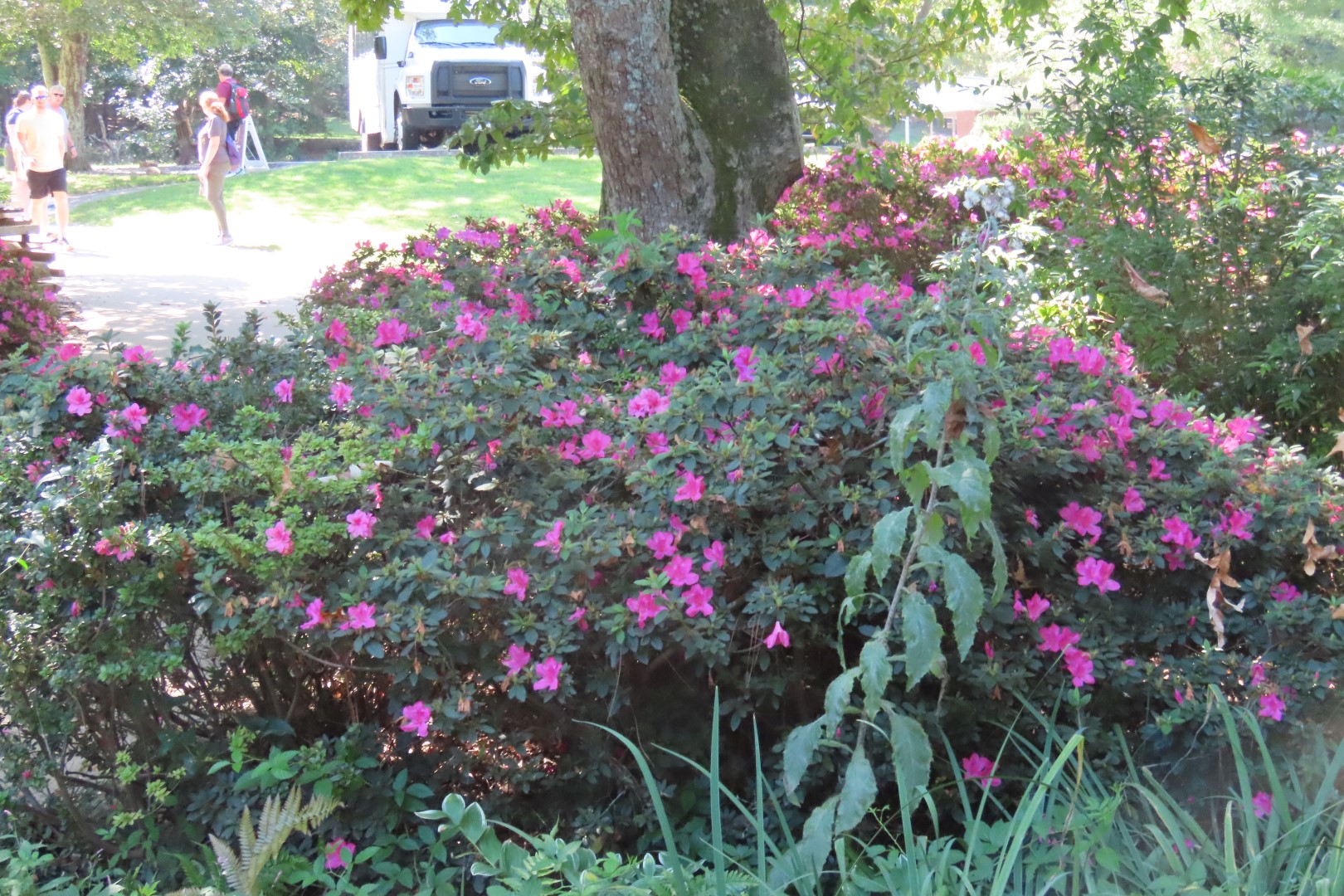 Kennesaw Mountain National Battlefield Park 28 of 28 (#6847)