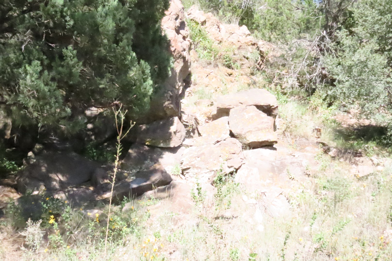 Gila Cliff Dwellings National Monument  6 of 13 (#6885)