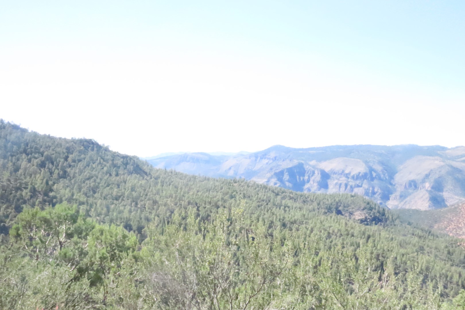 Area south of Gila Cliff Dwellings National Monument  2 OF  2 (#6895)