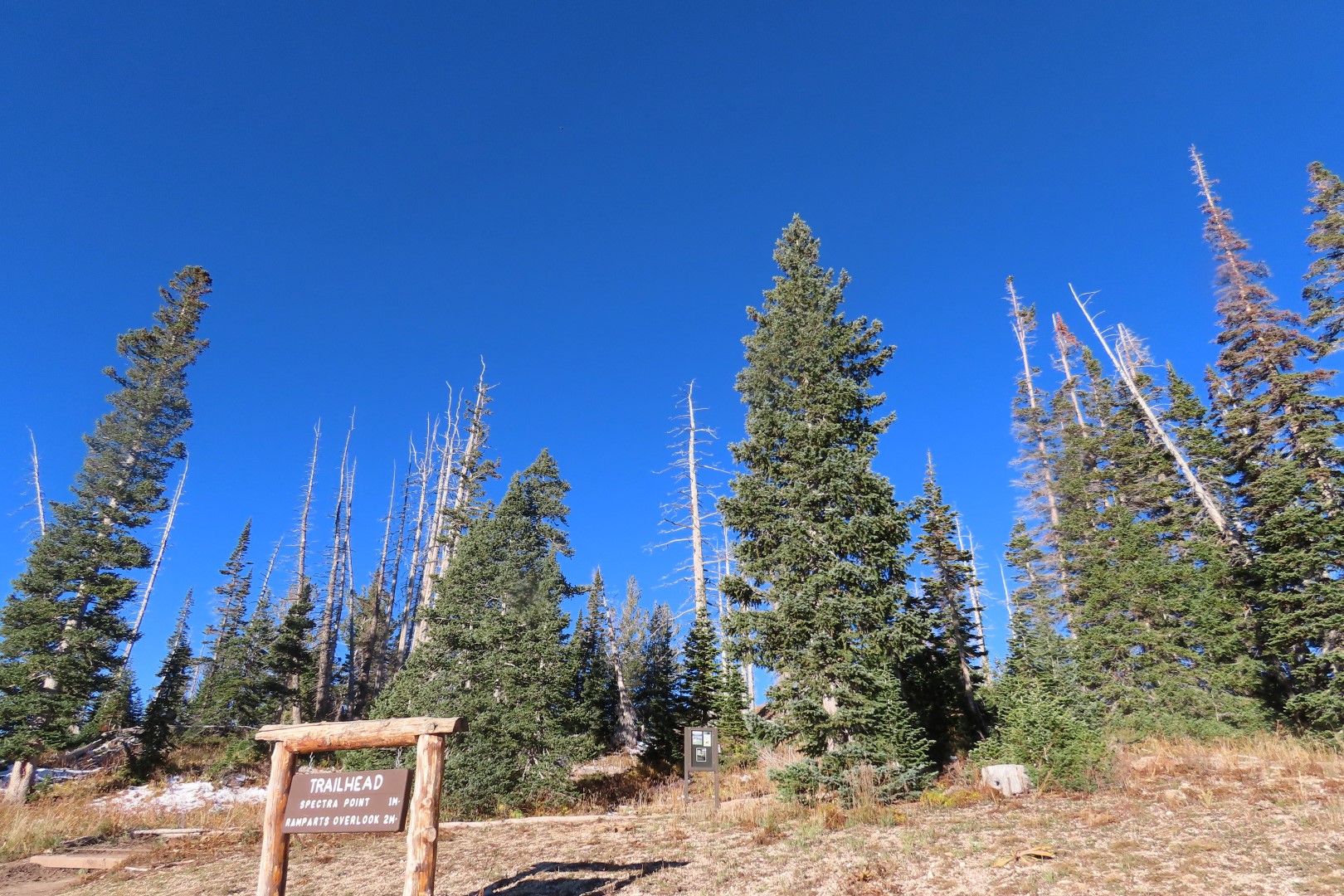Cedar Breaks National Monument  7 of  8 (#6947)