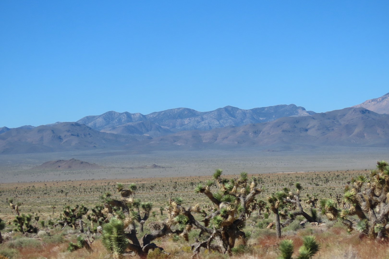 Nevada Highways west of Cedar Breaks National Monument  1 of  4 (#6951)