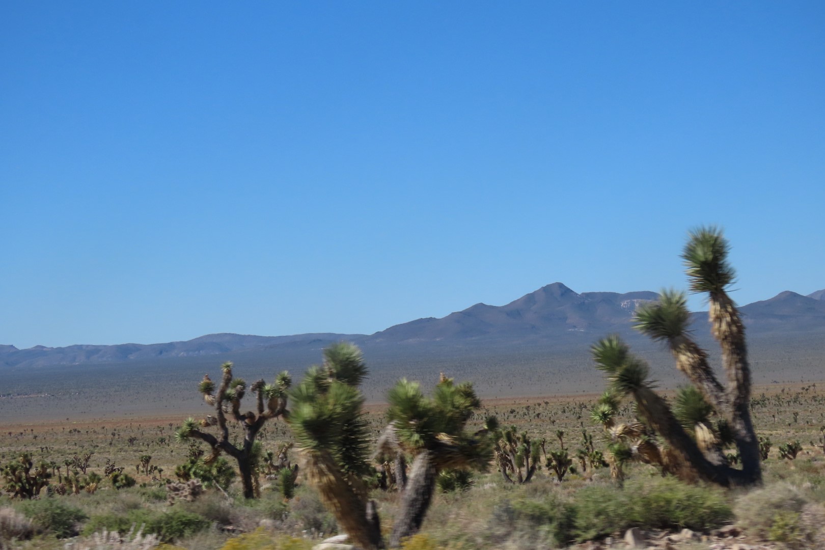Nevada Highways west of Cedar Breaks National Monument  2 of  4 (#6952)