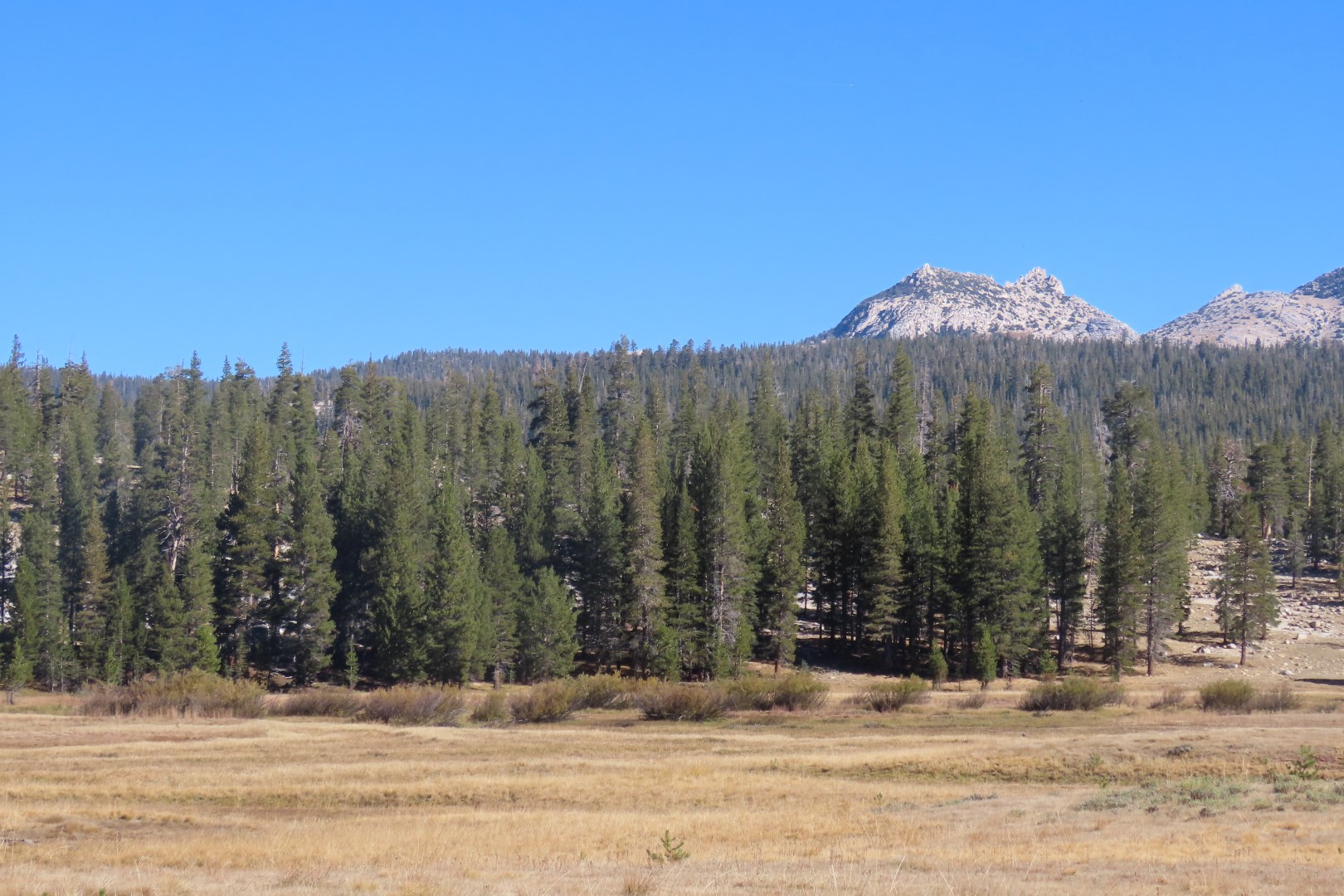 Yosemite National Park 70 of 79 (#6990)
