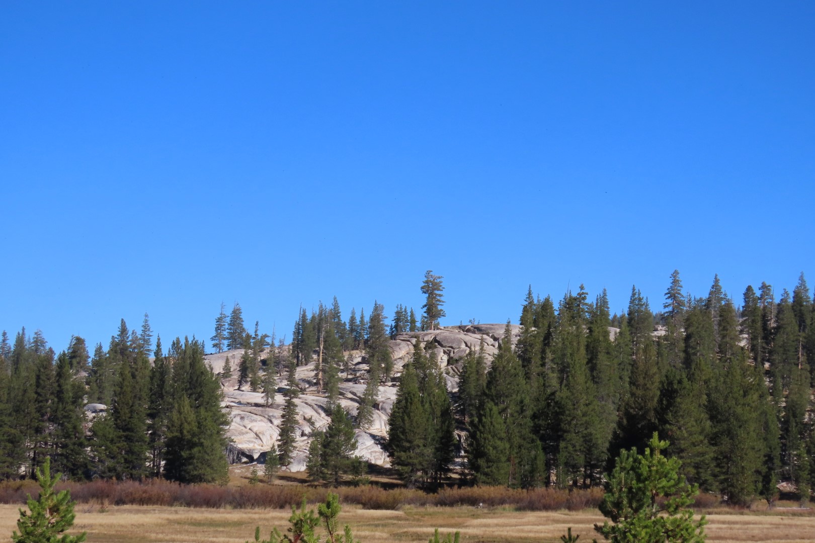 Yosemite National Park 71 of 79 (#6991)