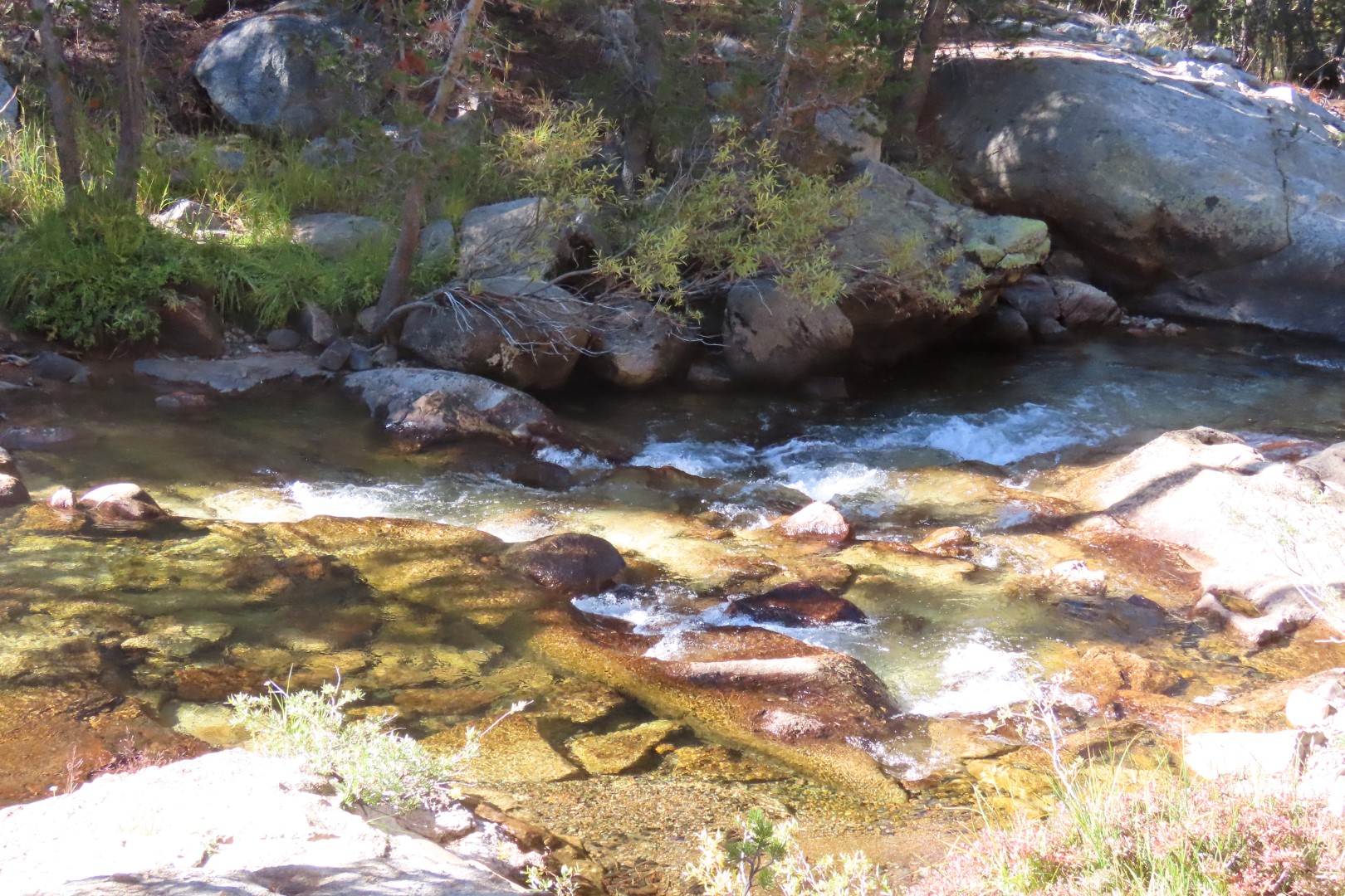 Yosemite National Park 57 of 79 (#6992)