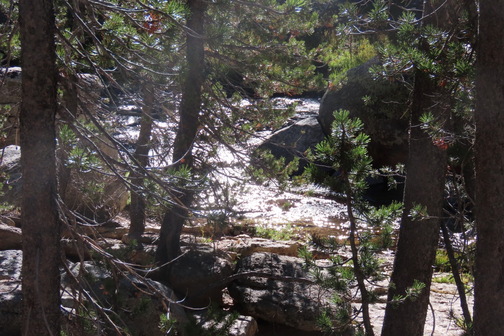 Yosemite National Park 58 of 79 (#6993)