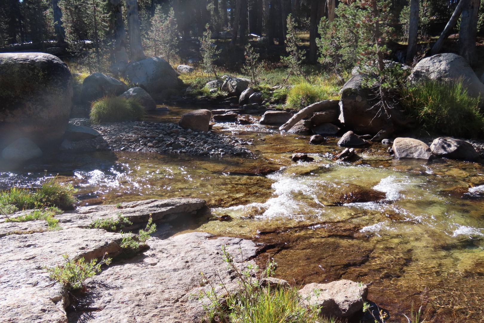 Yosemite National Park 59 of 79 (#6994)