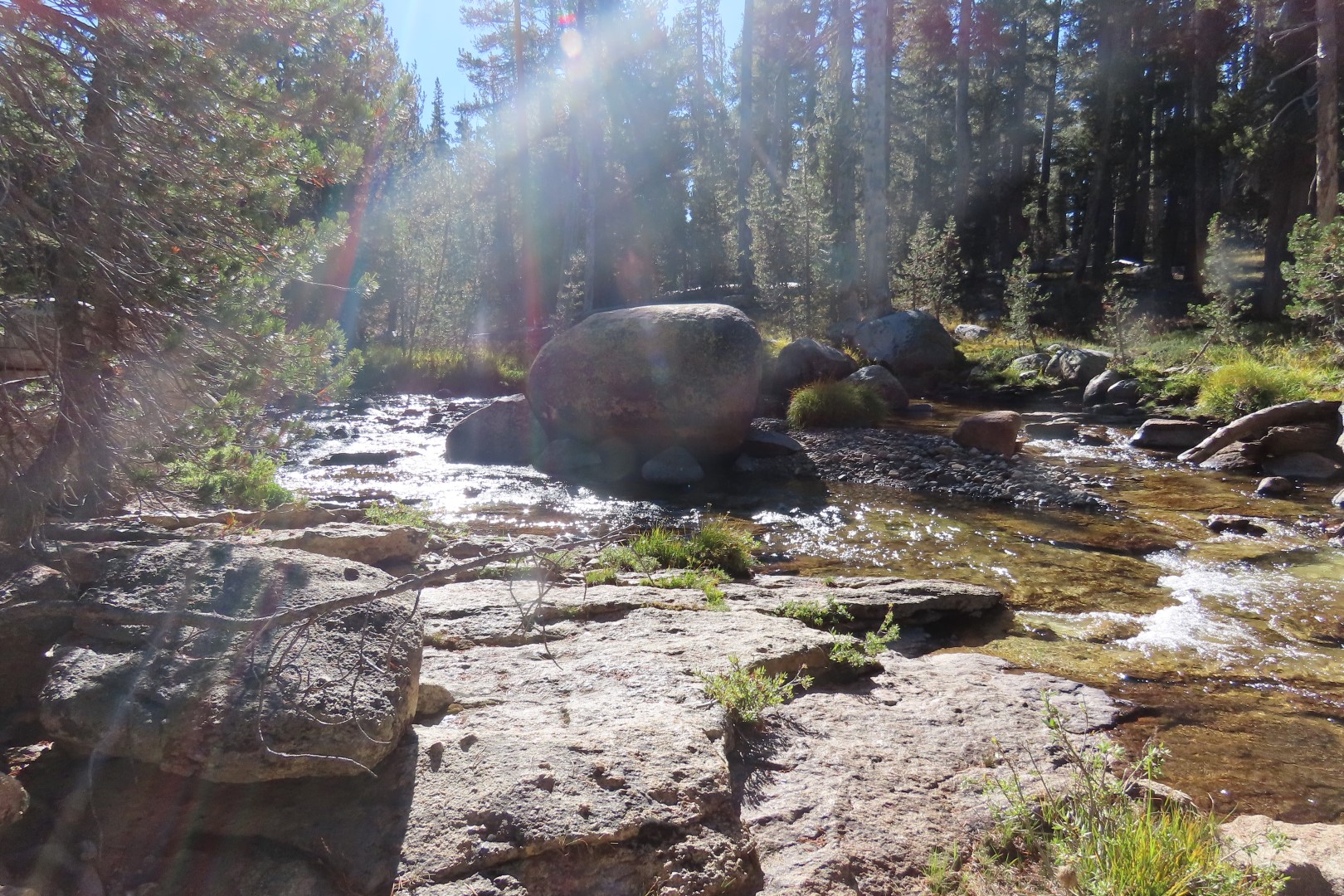 Yosemite National Park 60 of 79 (#6995)