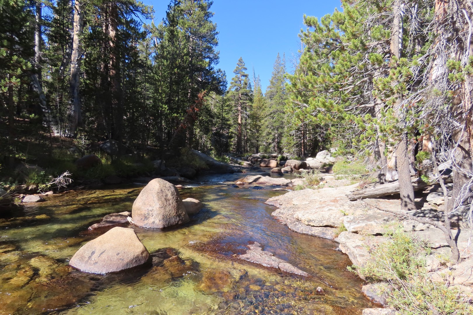 Yosemite National Park 61 of 79 (#6996)