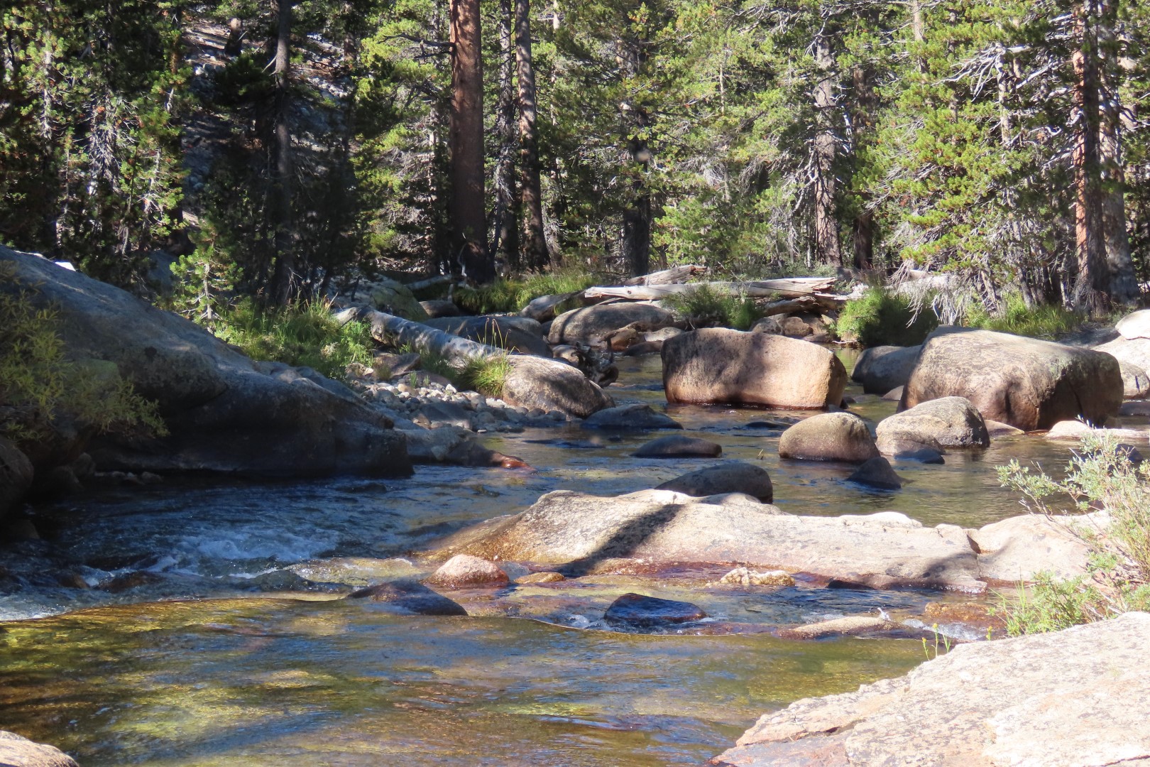 Yosemite National Park 62 of 79 (#6997)