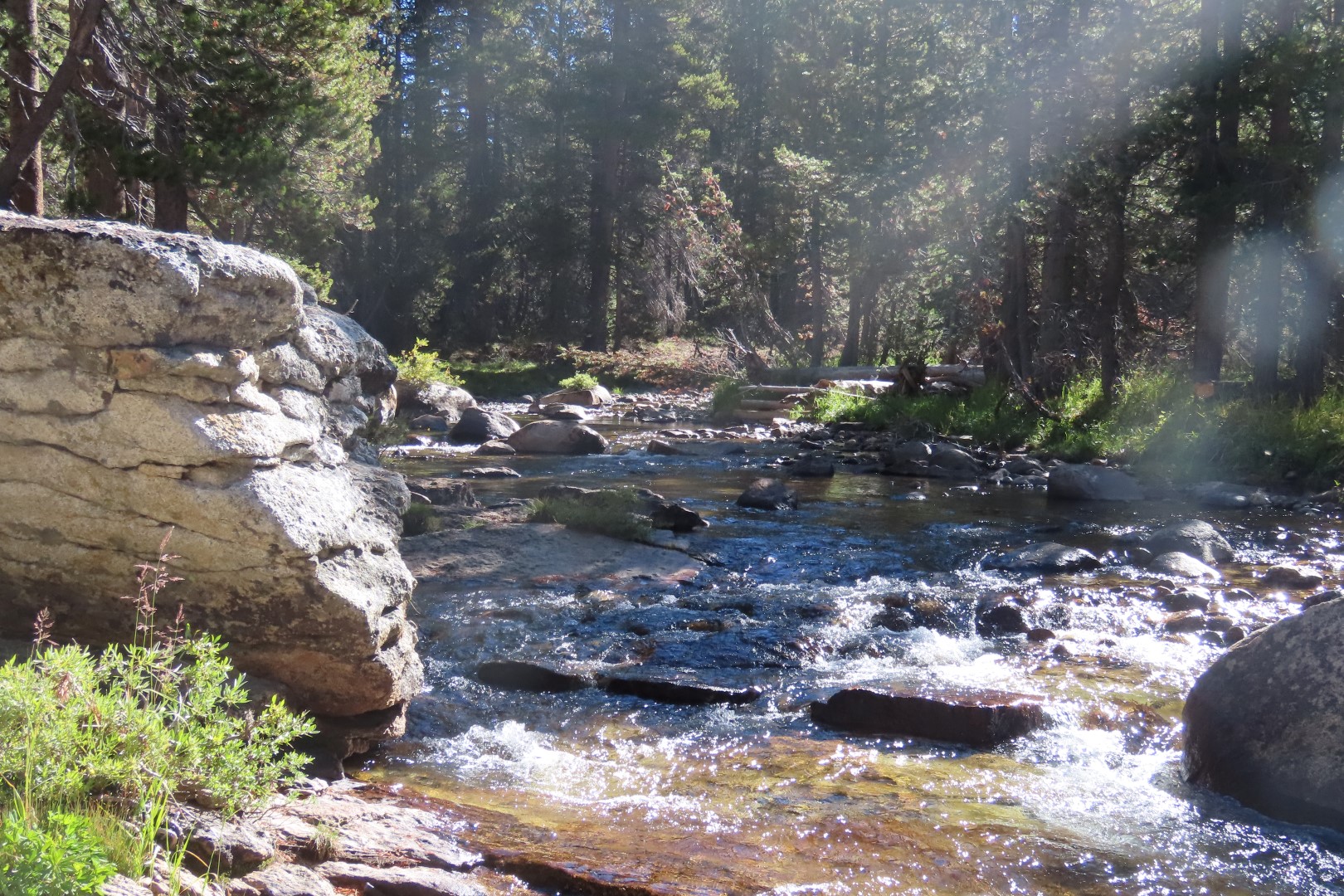 Yosemite National Park 63 of 79 (#6998)
