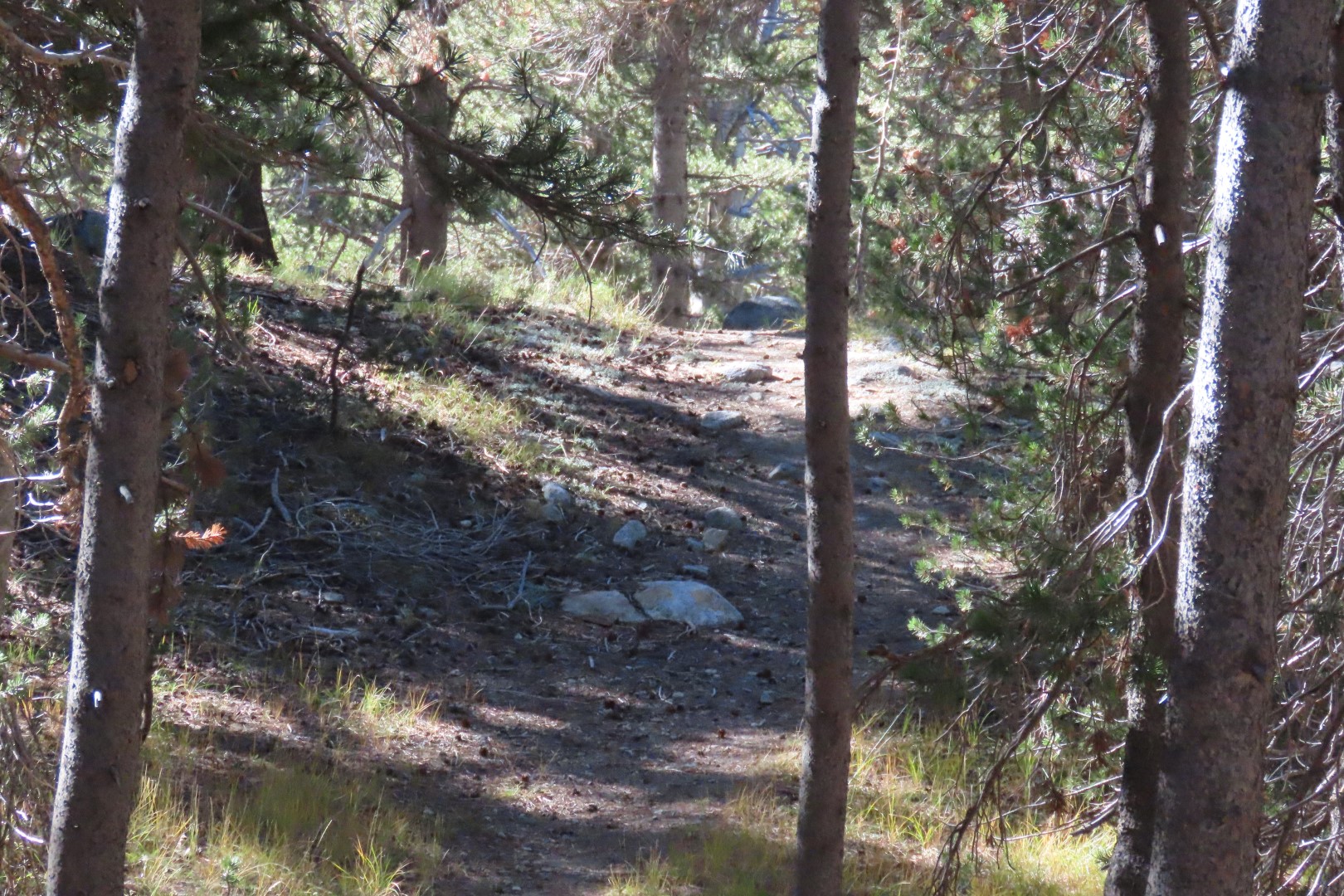 Yosemite National Park 73 of 79 (#7000)