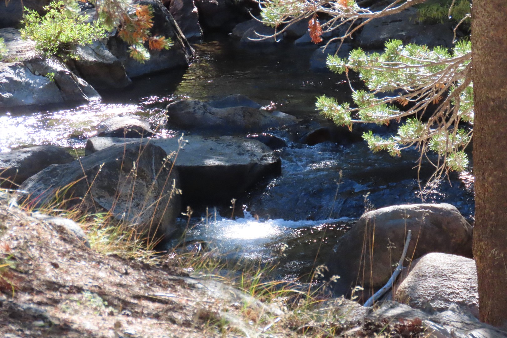 Yosemite National Park 65 of 79 (#7002)