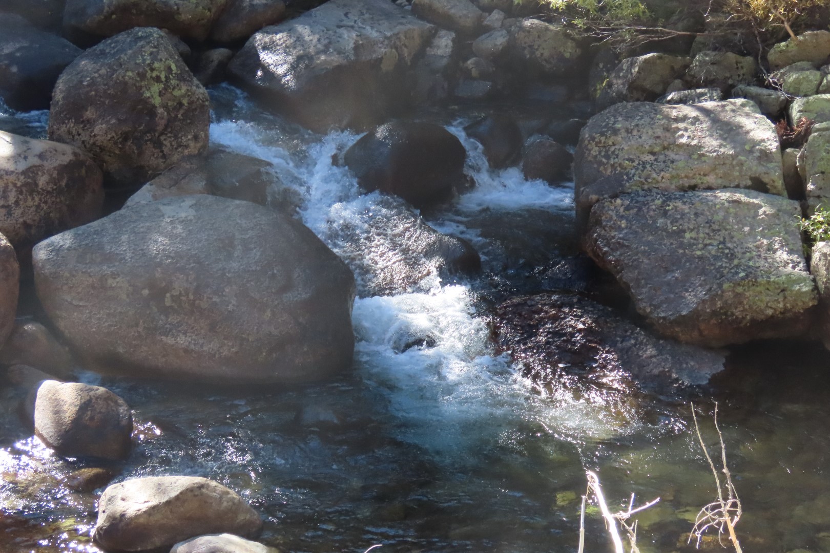 Yosemite National Park 66 of 79 (#7003)