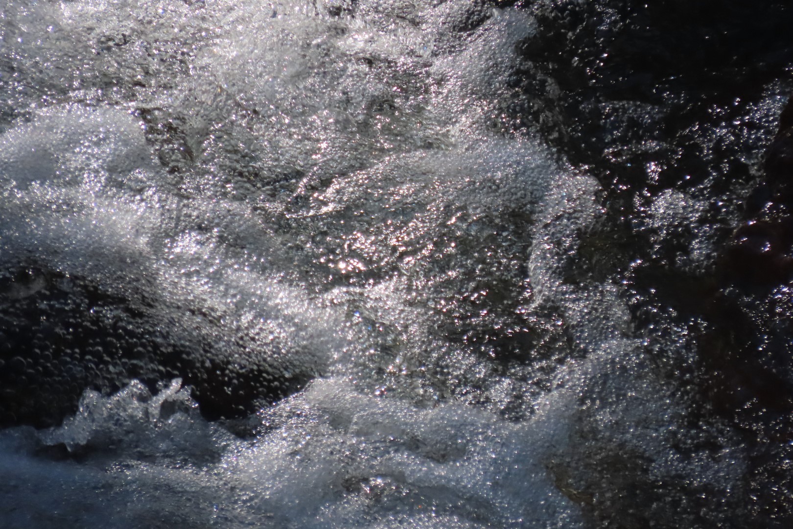 Yosemite National Park 67 of 79 (#7004)