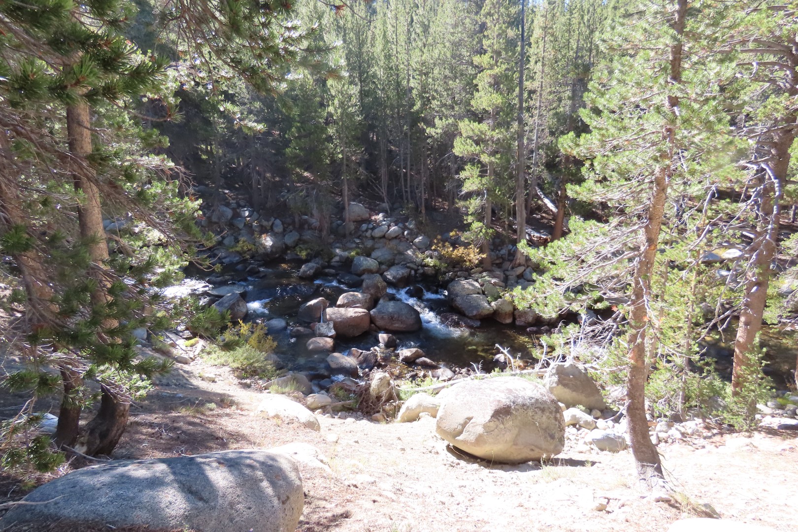 Yosemite National Park 68 of 79 (#7005)