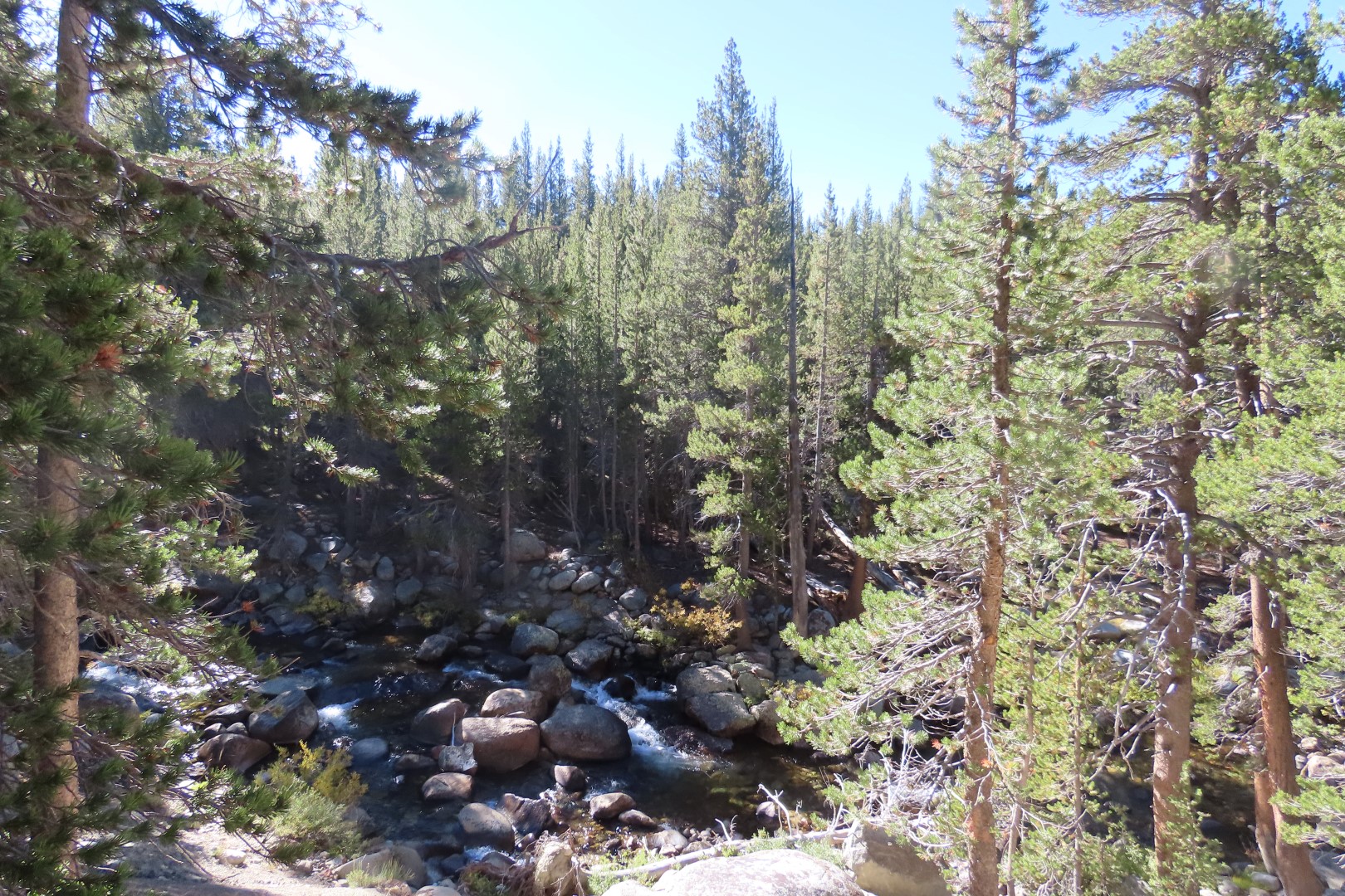 Yosemite National Park 69 of 79 (#7006)