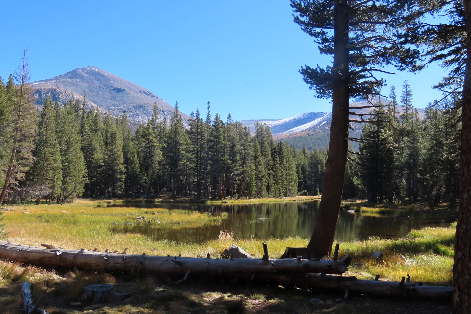 Yosemite National Park 30 of 79 (#7007)