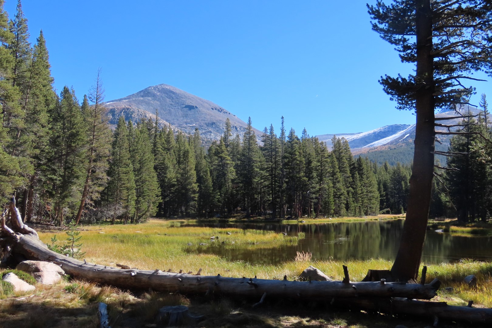 Yosemite National Park 31 of 79 (#7008)