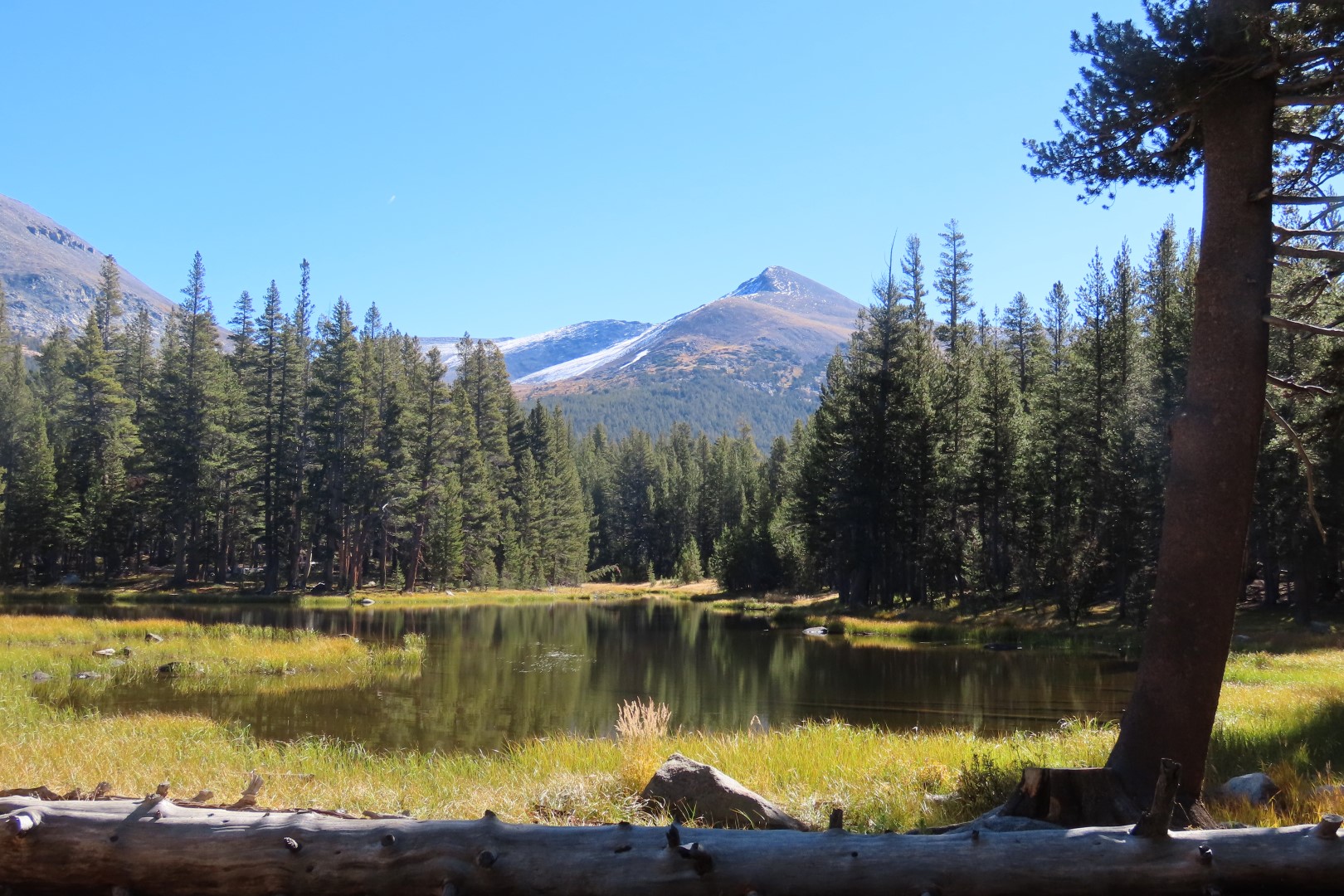 Yosemite National Park 32 of 79 (#7009)