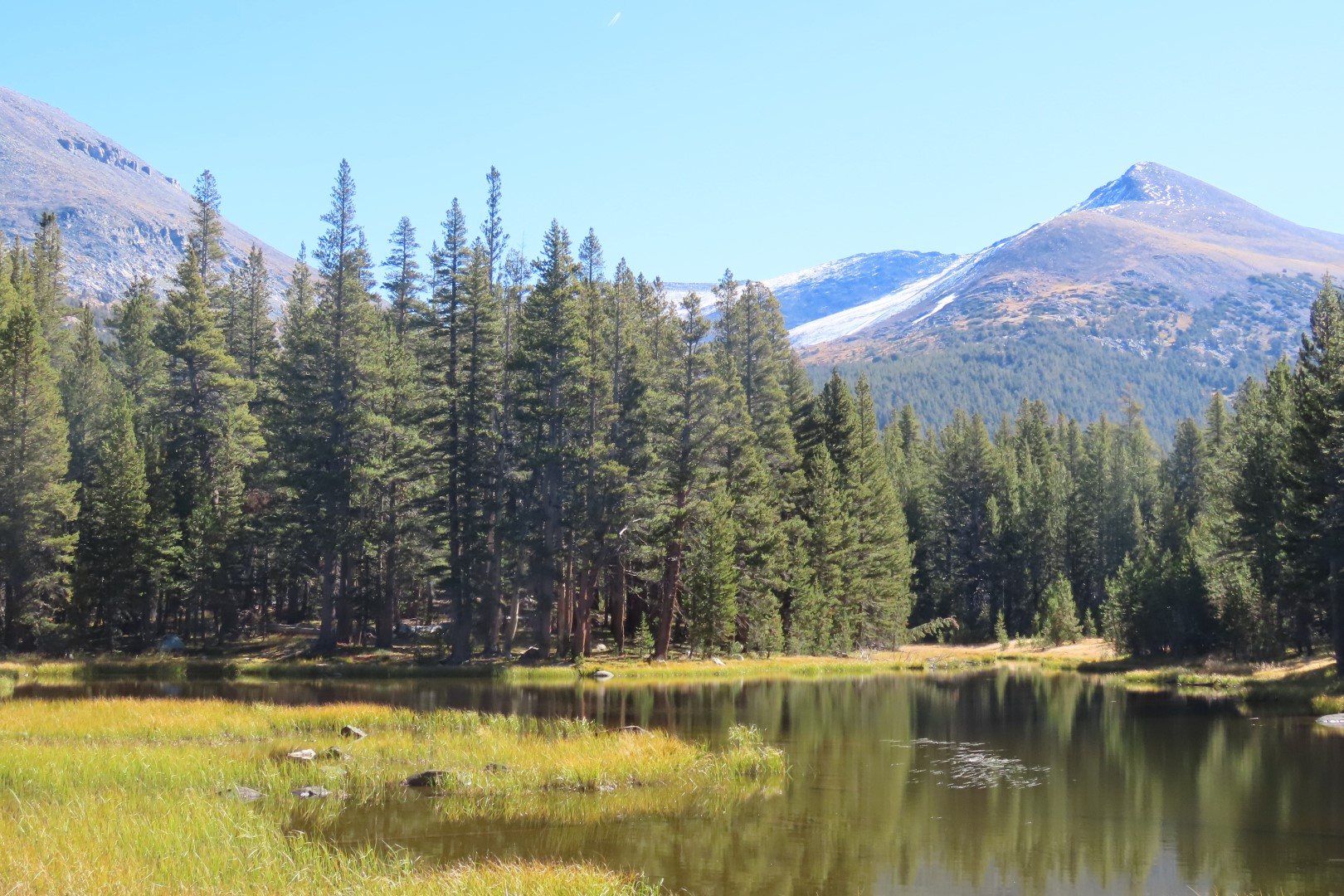 Yosemite National Park 34 of 79 (#7011)