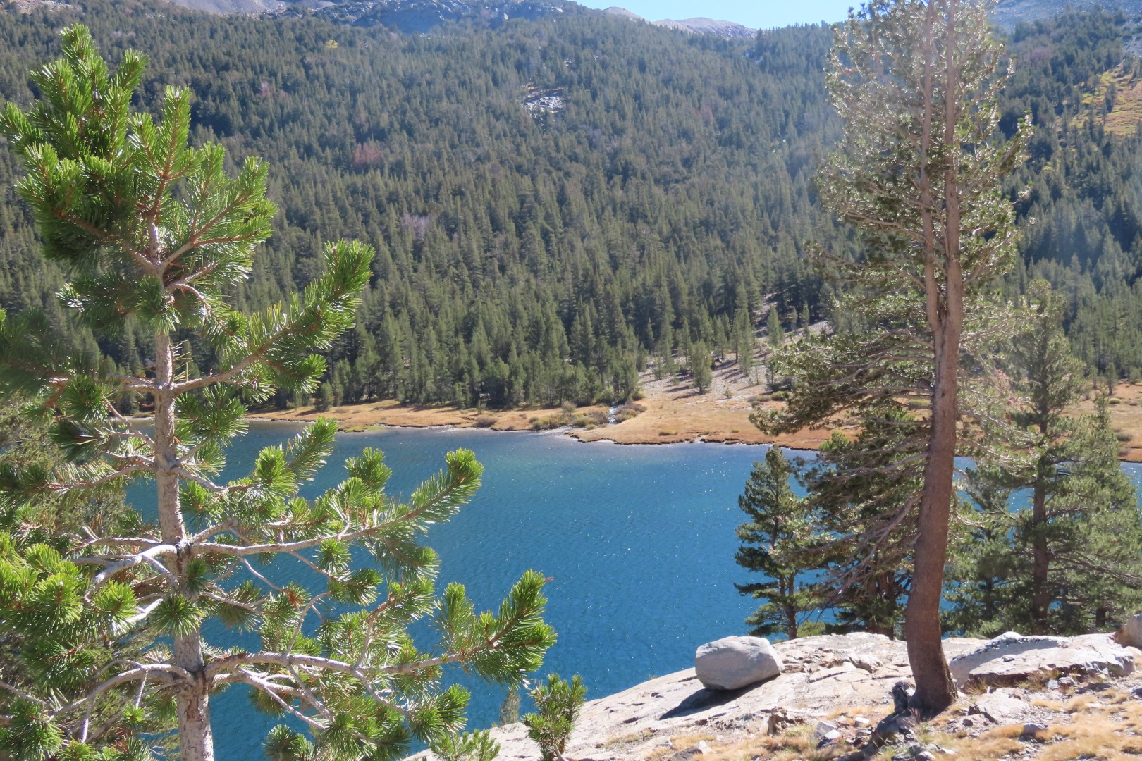 Yosemite National Park 38 of 79 (#7015)