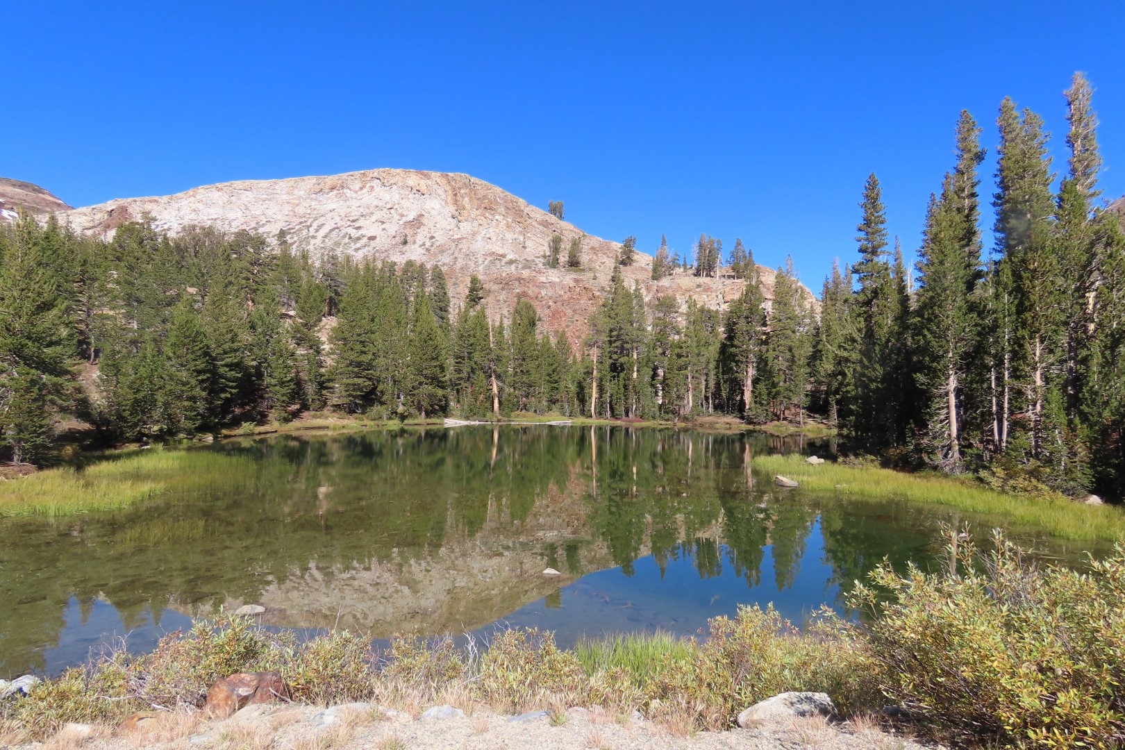 Yosemite National Park 39 of 79 (#7016)