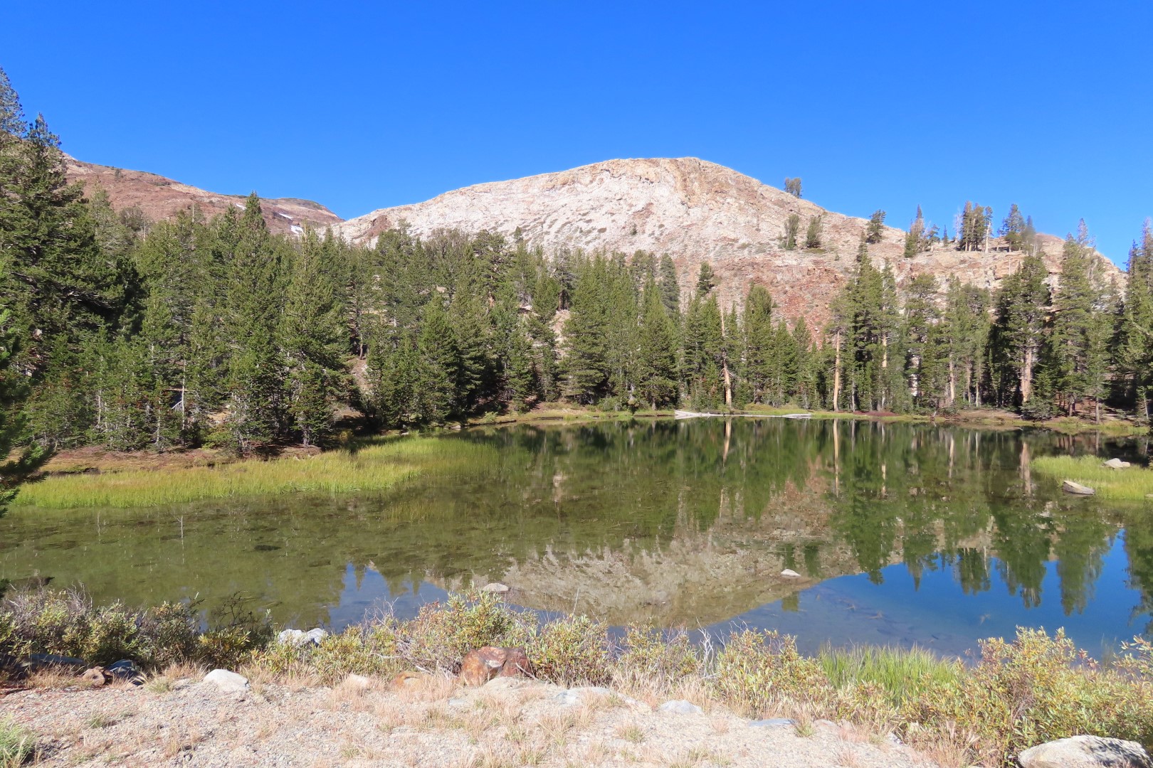 Yosemite National Park 40 of 79 (#7017)