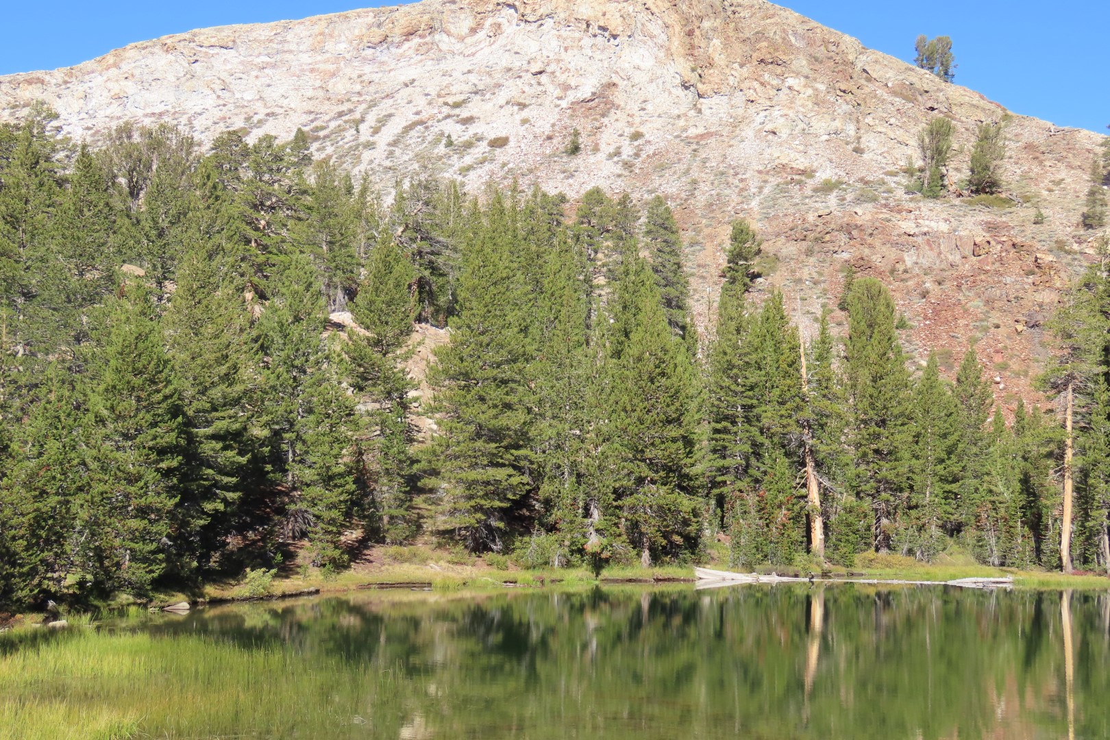 Yosemite National Park 74 of 79 (#7020)