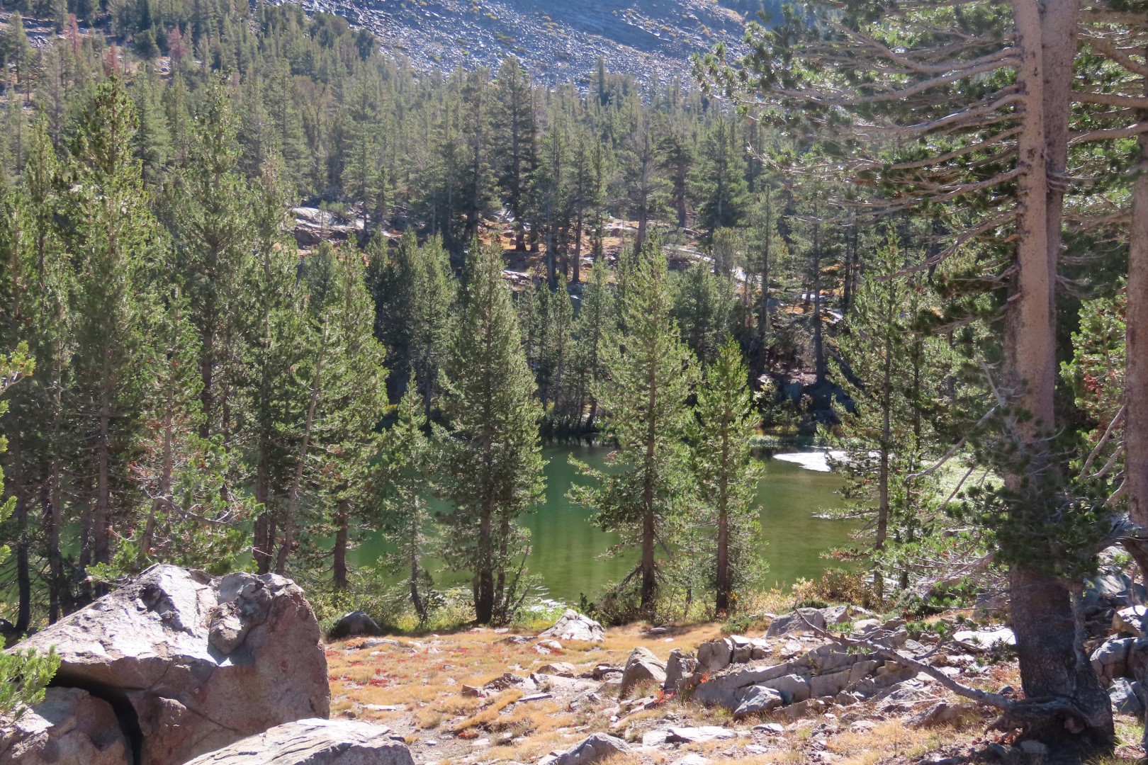 Yosemite National Park 76 of 79 (#7022)