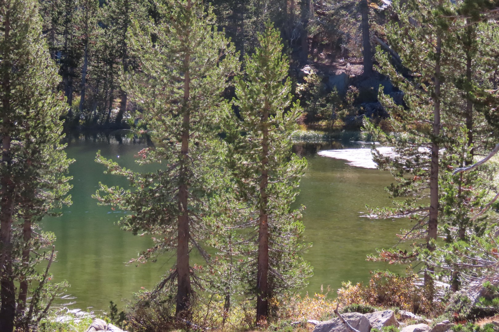 Yosemite National Park 77 of 79 (#7023)