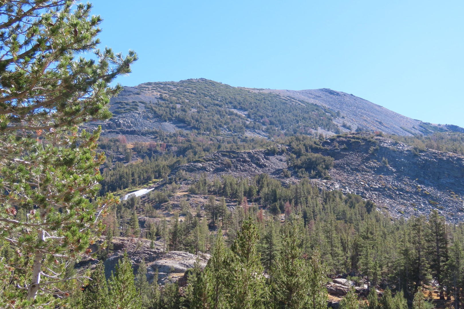 Yosemite National Park 22 of 79 (#7024)