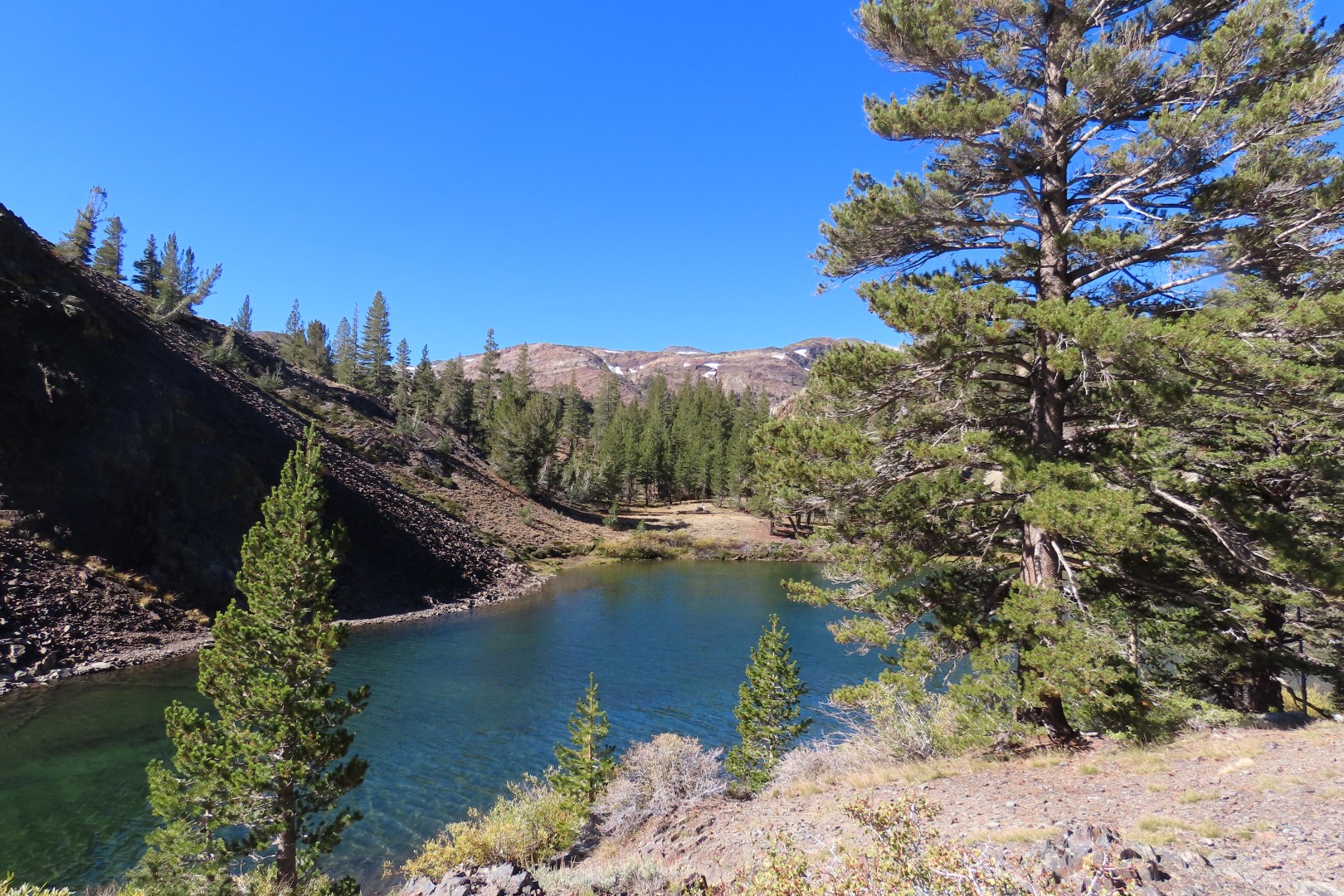 Yosemite National Park 45 of 79 (#7027)