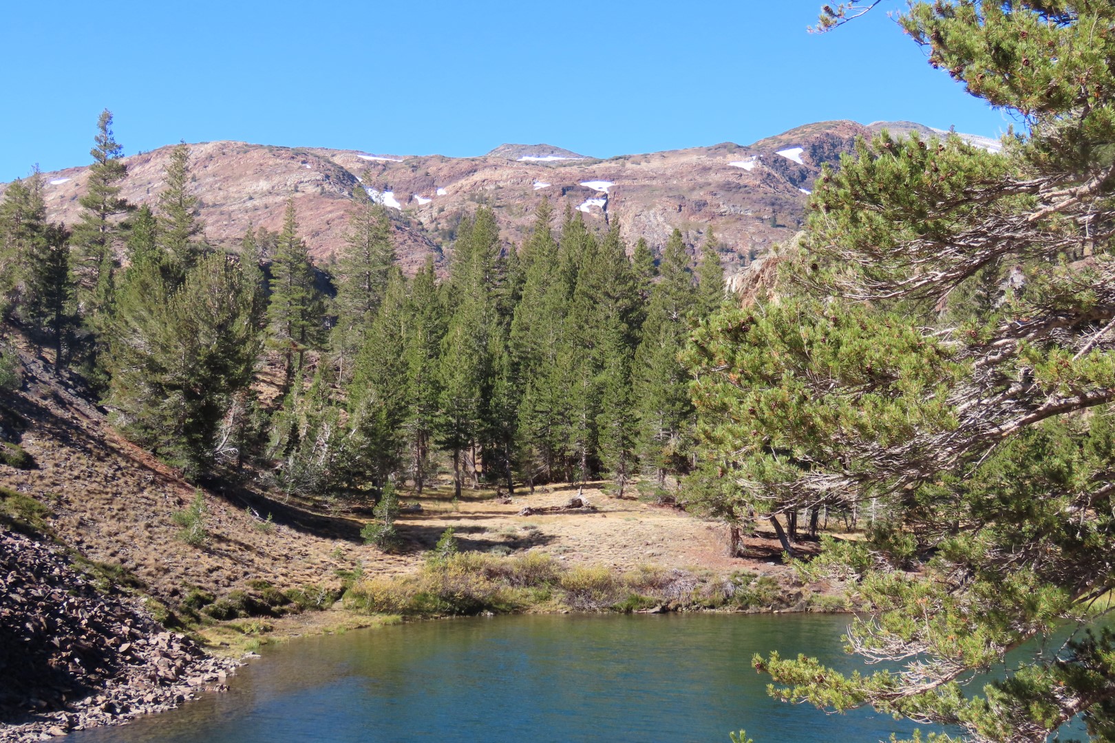 Yosemite National Park 78 of 79 (#7028)