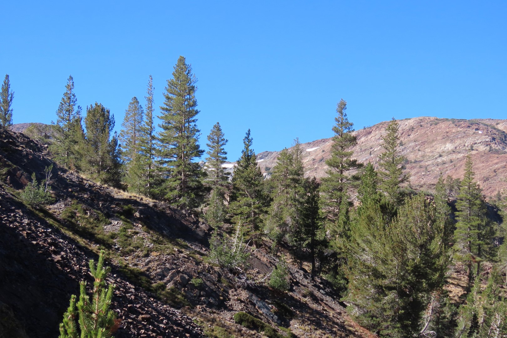 Yosemite National Park 79 of 79 (#7029)