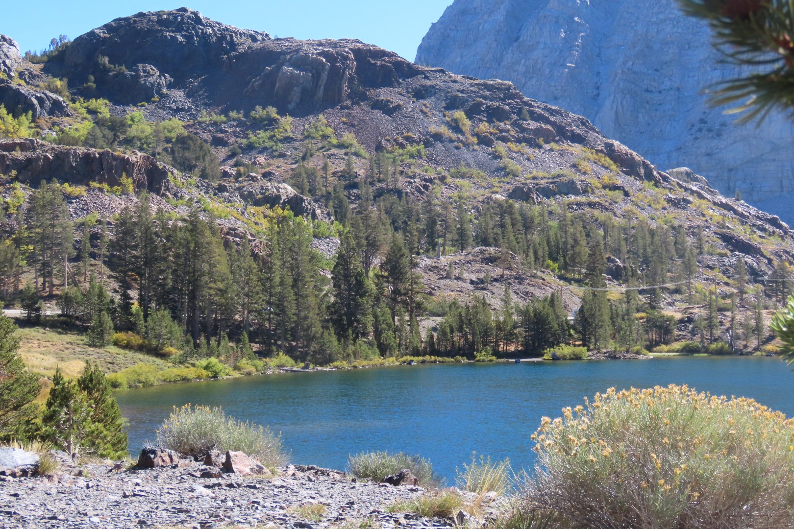 Yosemite National Park 46 of 79 (#7030)